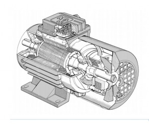 Trifase Autofrenanti serie BM in alluminio con freno in DC., M.G.M., Motori elettrici ed inverter